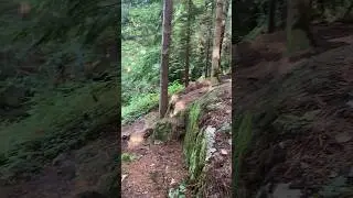 RIDING SOME MAD FEATURES