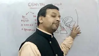 Genital fistula # VVF # RVF # Vaginal fistula # Deepak PD. Singh