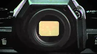 Nikon Df FX-Format D-SLR- Pure Photography