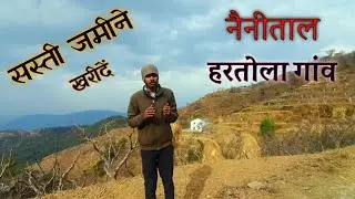 नैनीताल के हरतोला गांव में - 2 , 10 नाली जमीन बिकाऊ है | सस्ते रेट में