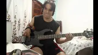 Wasted   Years bass