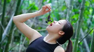 Foraging in the Forest - Bushcraft & Survival - Building Farm and Cooking
