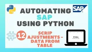 12 -  SCRIP ADJUSTMENTS   HOW TO AUTOMATE SAP USING PYTHON