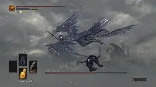DARK SOULS III(nameless king)