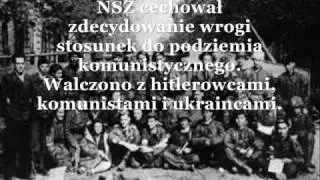 Narodowe Siły Zbrojne