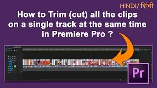 How to Trim (cut) all the clips on Single Track at the same time in Premiere Pro? I  Hindi