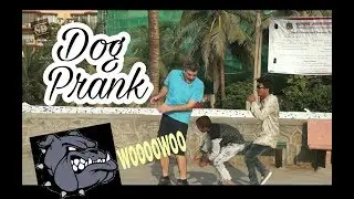 Infected human dog Sound prank on public | with a twist | Pranks in India | Bulldog | 2017