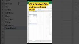 Mastering Excel Pivot Slicer: Your Ultimate Guide to Data Analysis! #shortvideo #shorts