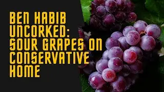 Ben Habib’s Sour Grapes: The Political Juice Box Drama 🍇