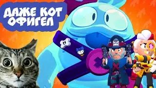 МОЙ КОТ БЫЛ В ШОКЕ ОТ НОВЫХ ПЕРСОВ В БРАВЛ СТАРС! BRAWL STARS CAT!