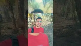 🕊️❤️ Mini Vlog Bird Sanctuary #youtubeshorts #minivlog #college #ipuniversity #viral