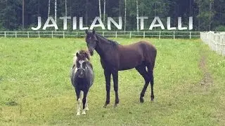 ♢ Jatilantallin 1 vuokrausleiri 2013 ♢