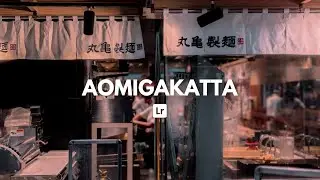 Aomigakatta Preset | Lightroom Preset | Free Download