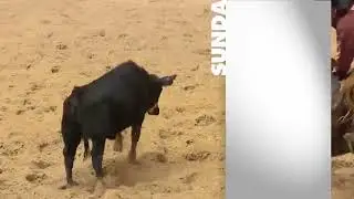 NCHA 2017 promo Tune In