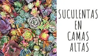 REPRODUCCIÓN DE SUCULENTAS EN CAMA ALTA