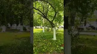 внеплановый выходной