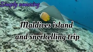 Maldives island and snorkelling trip