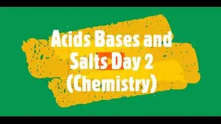 Bases | Acids, Bases and Salts | Day - 2 | Chemistry