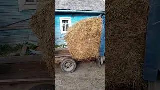 Рулон сена на прицеп