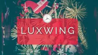 Merry Christmas 2016 from the Luxwing Team!