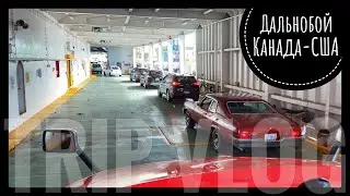VLOG 