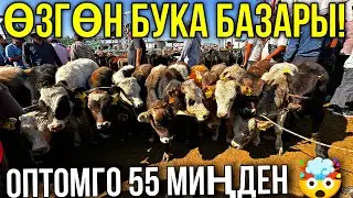 БУКАЛАР ТОЛУП КЕТТИ ДАГЫ ДЕЛЕ КЫМБАТБЫ 🤯 #байтв