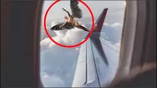 Pasajero Captó Este Momento Que NO Puede Pasar Desapercibido - Momentos Extraños En El CIELO