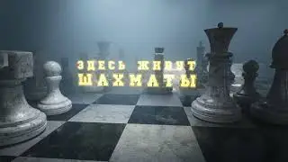 Шахматный клуб "Интеллект" (проморолик)