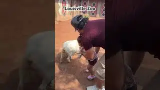 Louisville Zoo