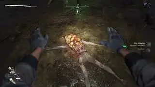Dying Light 2 Bolter Stealth Kill 2