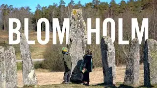 Blomsholms Fornlämningar