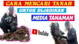 CARA MENCARI TANAH UNTUK DIJADIKAN MEDIA TANAMAN