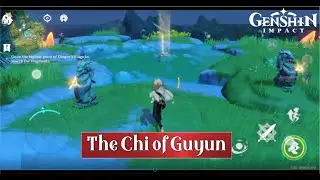 The Chi of Guyun Genshin Impact