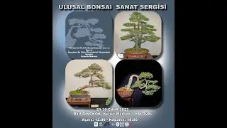 1.ULUSAL BONSAİ SANAT SERGİSİ YALOVA 29-EKİM-2022