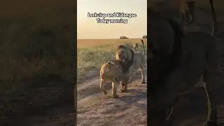 Angry Lorkulup and Kidongoe today
