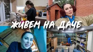 #ЖивемНаДаче