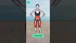 ➜ REDUCE Your 'DONUT BELLY' in Just 5 Weeks ➜ 30 minute STANDING Workout Exercises #2