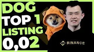 DOG GO TO THE MOON LISTAGEM TOP 1