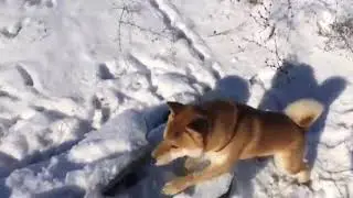 Это фиаско братан