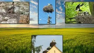 Фоторепортаж