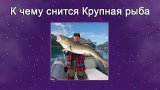 К чему снится Крупная рыба – толкование сна по Соннику