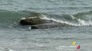 Platja Llarga