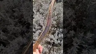 Классика есть классика 🏹