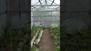 13 мая 2022 г.
