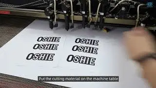 RDVisionWorks tutorial:Template Match Cutting