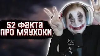 52 ФАКТА ПРО МЯУХОКИ
