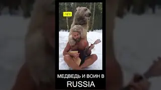 Assassin's Creed и медведь vs реальность Россия и медведь 
