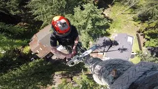 Tree Rigging - Vertical Zipline