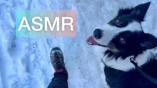 ASMR ❄️ Passi sulla NEVE ❄️ SNOW SOUNDS + ambient sounds + ICE SOUNDS 🧊 perfetto per studiare!