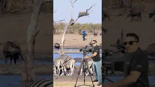 Aus der Reihe: „Unsere schönsten YouTube-Kommentare"...😄❤️ Viel Erfolg in Afrika, lieber Patrick!😂🦓📹
